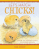 Let's Hatch Chicks!