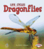 Dragonflies (First Step Nonfiction Animal Life Cycles)