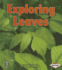 Exploring Leaves (First Step Nonfiction)