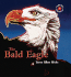 The Bald Eagle (Symbols of America)