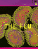 The Flu (Health Aleart)