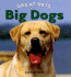 Big Dogs (Great Pets)