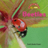 Beetles (Benchmark Rebus)