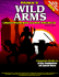 Wild Arms: Unauthorized Game Secrets (Secrets of the Games Series)