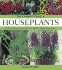 The Complete Guide to Houseplants: the Easy Way to Choose and Grow Healthy, Happy Houseplants