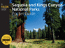 Sequoia and Kings Canyon National Parks Pocket Guide (Falcon Pocket Guides Series)