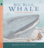 Big Blue Whale (Read and Wonder)