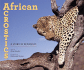 African Acrostics: a Word in Edgeways