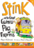 Stink and the Great Guinea Pig Express (Stink (Quality))