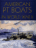 American Pt Boats in World War II: