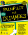 Palmpilot for Dummies [With Contains Demos, Shareware & Freeware...]