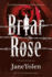 Briar Rose: a Novel of the Holocaust (Fairy Tales)