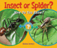 Insect Or Spider? : How Do You Know?