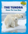 The Tundra: Discover This Frozen Biome (Discover the World's Biomes)