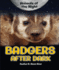 Badgers After Dark (Animals of the Night)