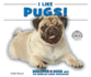 I Like Pugs! (Discover Dogs With the American Canine Association)