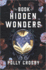 The Book of Hidden Wonders: a Novel