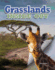 Grasslands Inside Out (Ecosystems Inside Out)