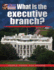 What is the Executive Branch? (Your Guide to Government)