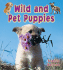 Wild and Pet Puppies (It's Fun to Learn About Baby Animals, 10)