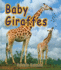 Baby Giraffes (It's Fun to Learn About Baby Animals)