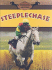 Steeplechase