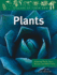 Plants: Flowering Plants, Ferns, Mosses, and Other Plants (Class of Their Own)