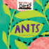 Ants (Mucky Minibeasts)