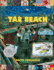 Tar Beach