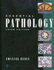 Essential Pathology (Rubin, Essential Pathology)