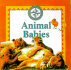 Animal Babies (Nature Company Discoveries Libraries)