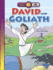 David and Goliath (Happy Day Books: Bible Stories)