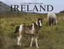 A Celebration of Ireland