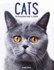 Cats: the Illustrated Guide to Breeds