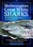 Mediterranean Great White Sharks: A Comprehensive Study Including All Recorded Sightings