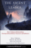 The Ascent of a Leader: How Ordinary Relationships Develop Extraordinary Character and Influence