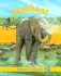 The Elephant (My Animal Library)