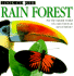 Rain Forest