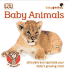 Baby Animals