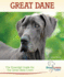 Great Dane: a Practical Guide for the Great Dane (Breed Lover's Guide)