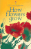 How Flowers Grow (Usborne Beginners)