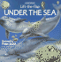 Under the Sea (Usborne Lift-the-Flap)