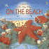 On the Beach (Usborne Lift-the-Flap)