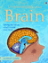 Understanding Your Brain (Science for Beginners)