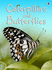 Caterpillars and Butterflies (Beginners Nature, Level 1)