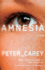 Amnesia (Vintage International)