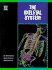 The Skeletal System (Human Body System)