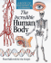 The Incredible Human Body: a Book of Discovery & Learning