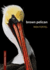 Brown Pelican (Louisiana True)