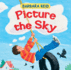 Picture the Sky
